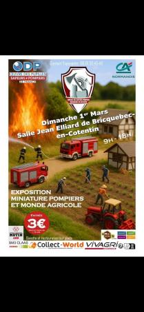  dimanche 1 mars expo à bricquebec en cotentin (50)
