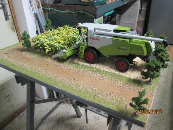 Création diorama de récolte de maïs grain 