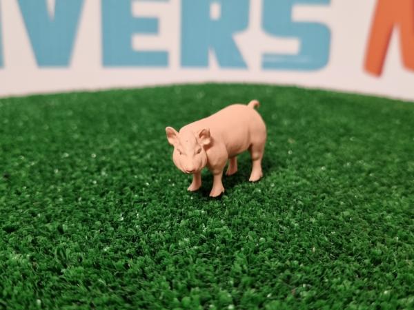 Klicken Sie zum Zoomen