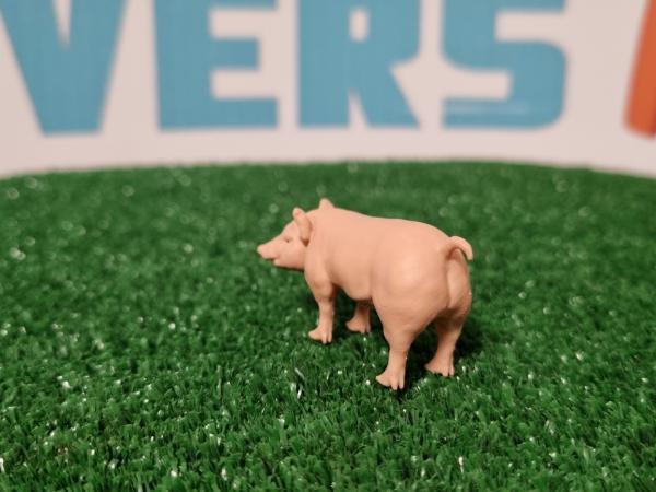 Klicken Sie zum Zoomen