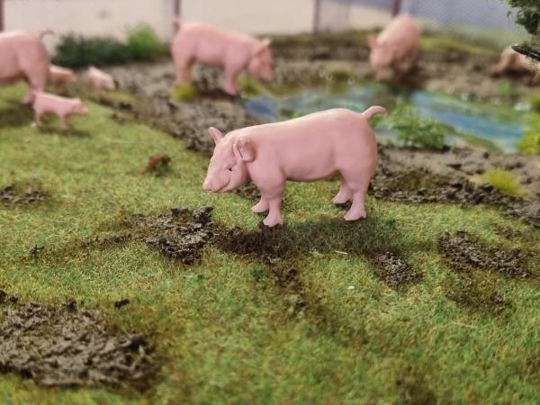 Klicken Sie zum Zoomen